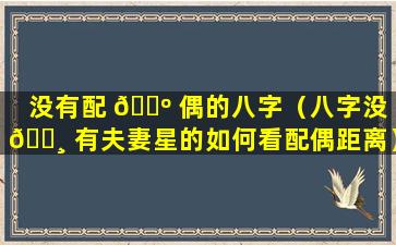 没有配 🐺 偶的八字（八字没 🕸 有夫妻星的如何看配偶距离）